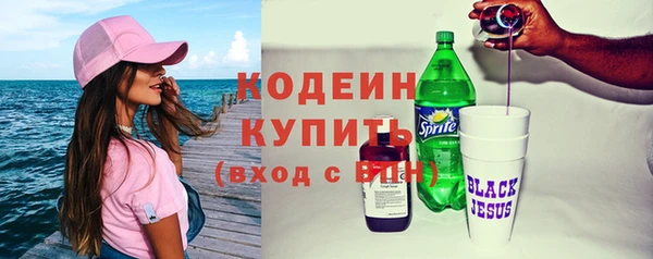гидра Богородск