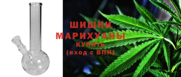 гидра Богородск