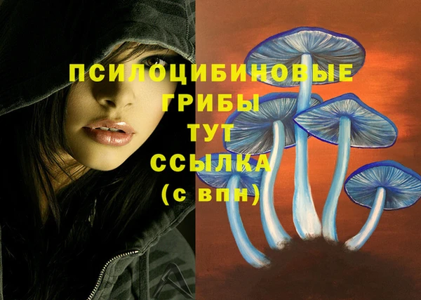 кокаин перу Бородино