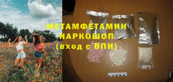 гидра Богородск