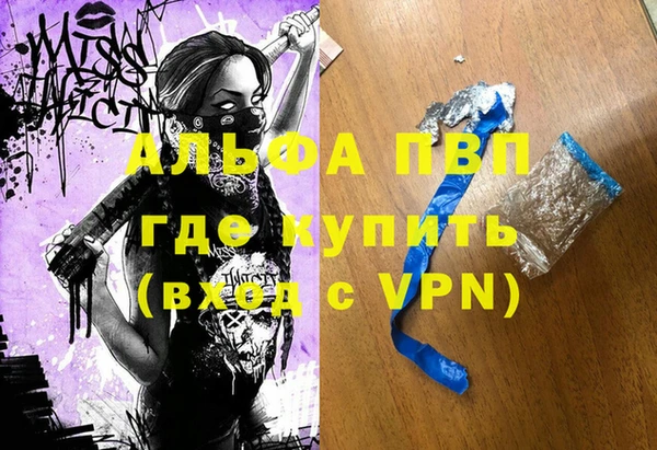 гидра Богородск