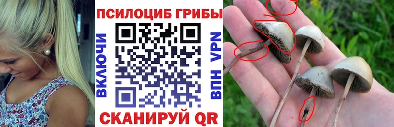 Галлюциногенные грибы Magic Shrooms  Гусев 
